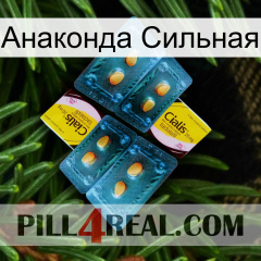 Анаконда Сильная cialis5